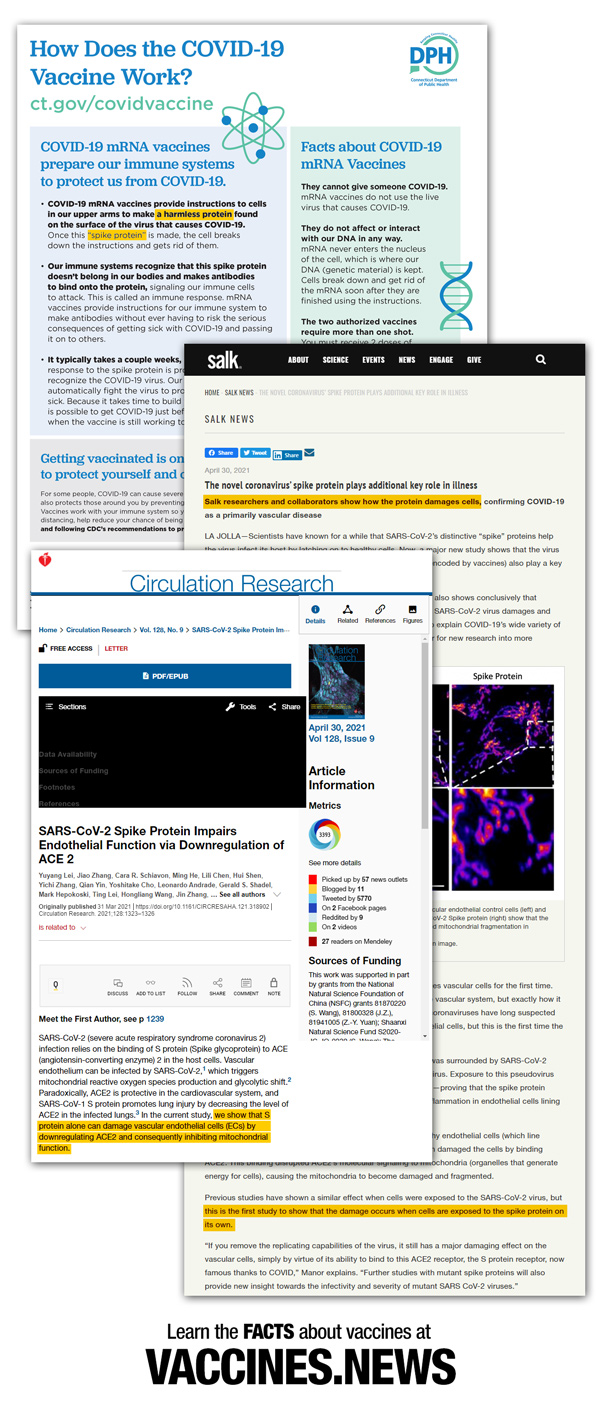 DPH-Salk-Circ-Research-600