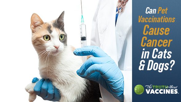 Can Pet Vaccinations Cause Cancer in Cats & Dogs?